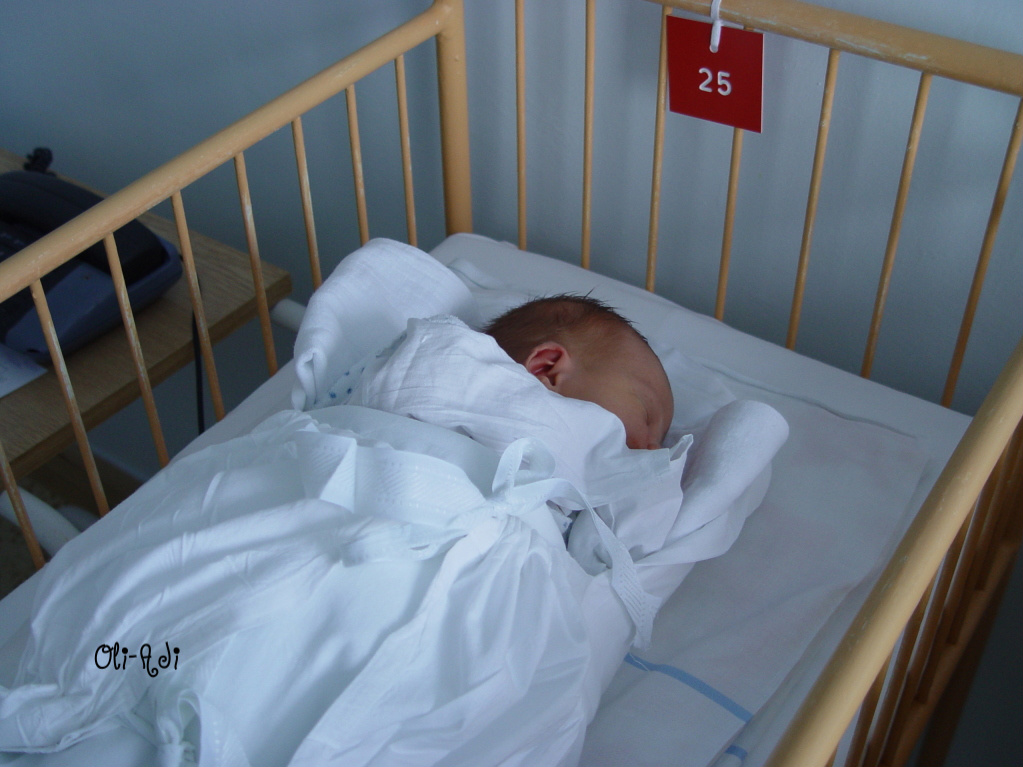 Narodil se 25. v pořadí v měsíci únoru.